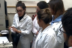curso2023_04